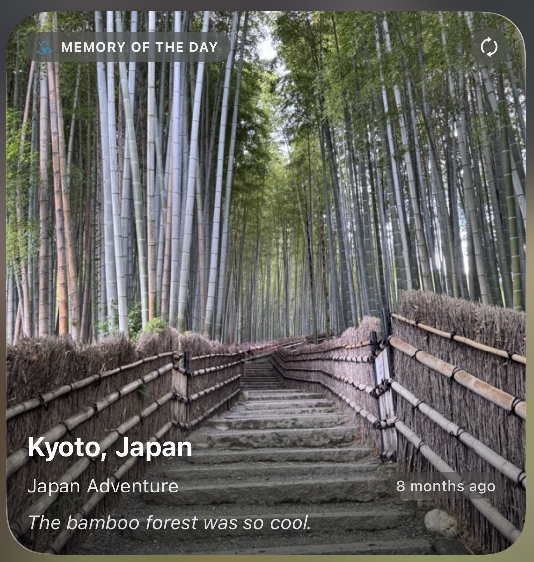 Memory of the Day large widget