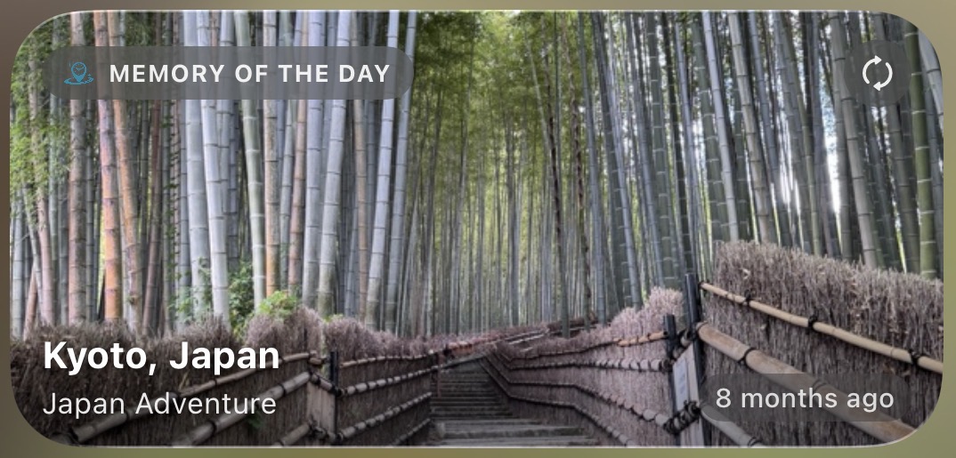 Memory of the Day medium widget